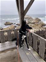 Live Vicariously Through Aubreigh's Adventures: Live Like Aubreigh