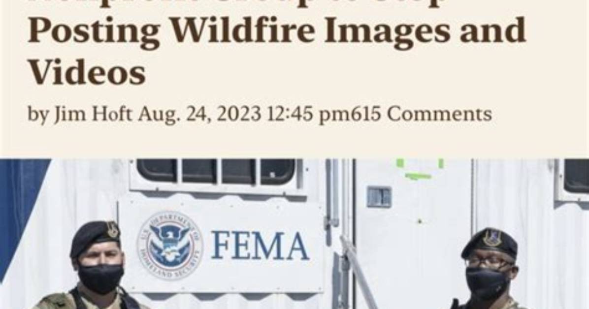 Marines Arrest Fema: the Untold Truth You Need to Know