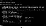 Mastering the Windows Show Ip Route Command for Network Management