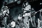 Meet the Musicians of Ocean Alley: the Artists Behind the Album