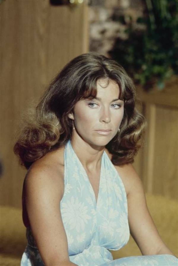 Michele Carey: a Look into Her Net Worth and Life Journey