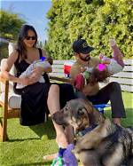 Milo Ventimiglia's Family: a Look into the Actor's Personal Life
