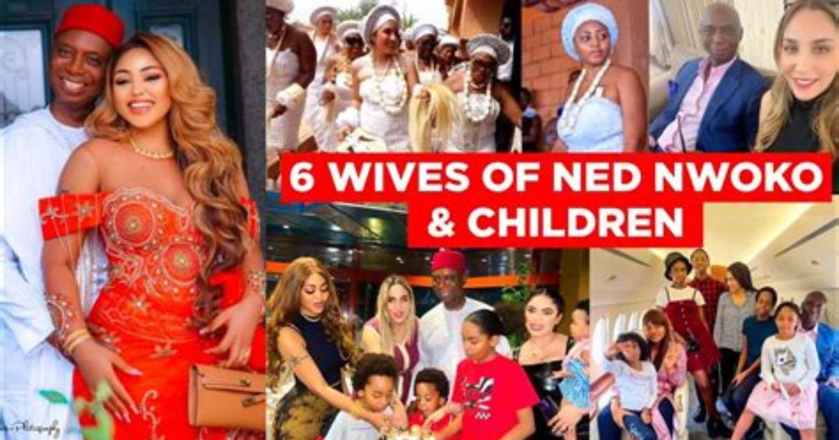 Ned Nwoko Wives: the Enigmatic Lives of a Nigerian Polygamist