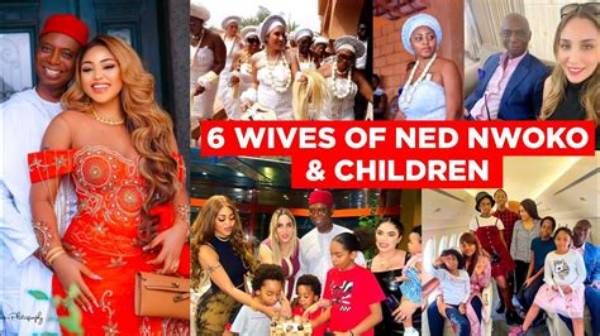 Ned Nwoko Wives: the Enigmatic Lives of a Nigerian Polygamist