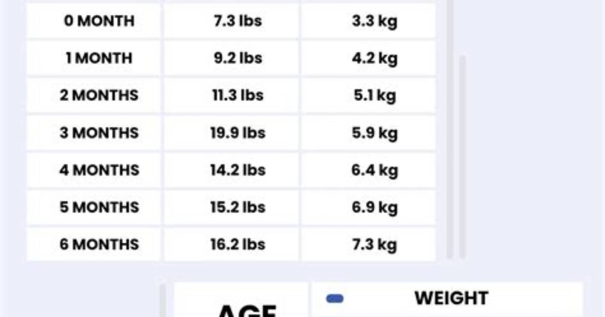 Nicolai H%C3%B8Jgaard Height Weight Net Worth Age 150. Jpg