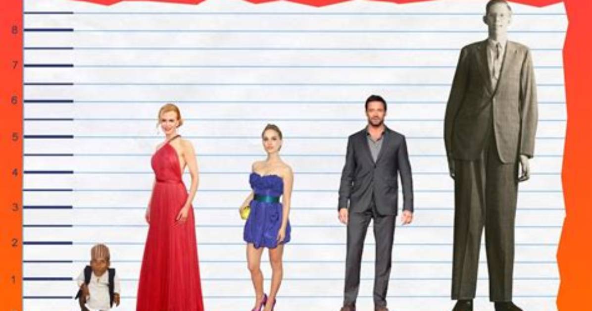 Nicole Kidman Height: How Tall Is the Award-Winning Actress?