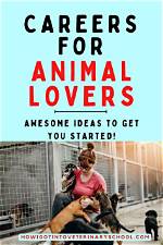 Passionate Pursuits: Exciting Careers for Animal Lovers