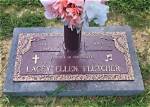 Picturesque Lacey Ellen Fletcher Photography