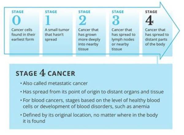 Pioneer Woman Cancer: a Journey of Resilience and Hope