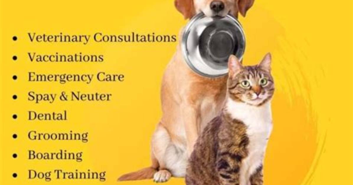 Pioneering Veterinary Care at Pioneer Animal Clinic
