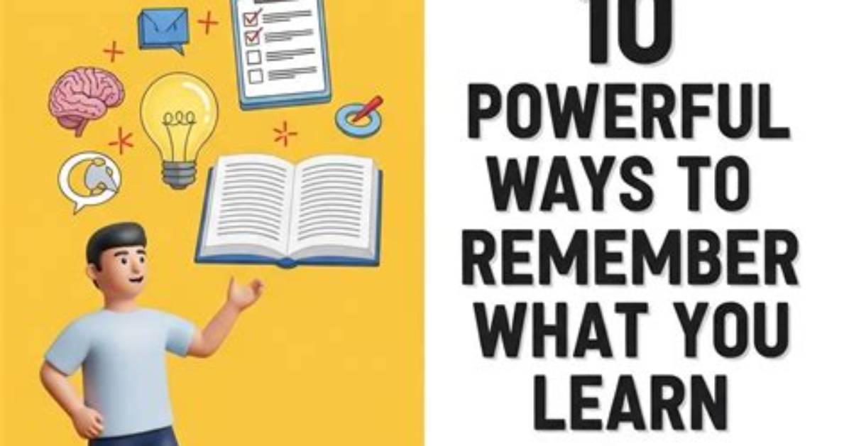 Powerful Techniques to Enhance Your Clea Divall Experience