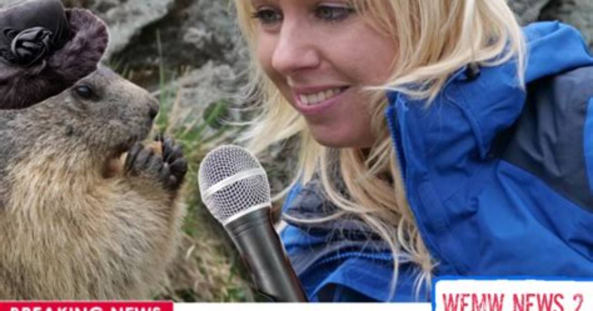 Punxsutawney Phil Ex Wife Photos – How Old Is the Groundhog?