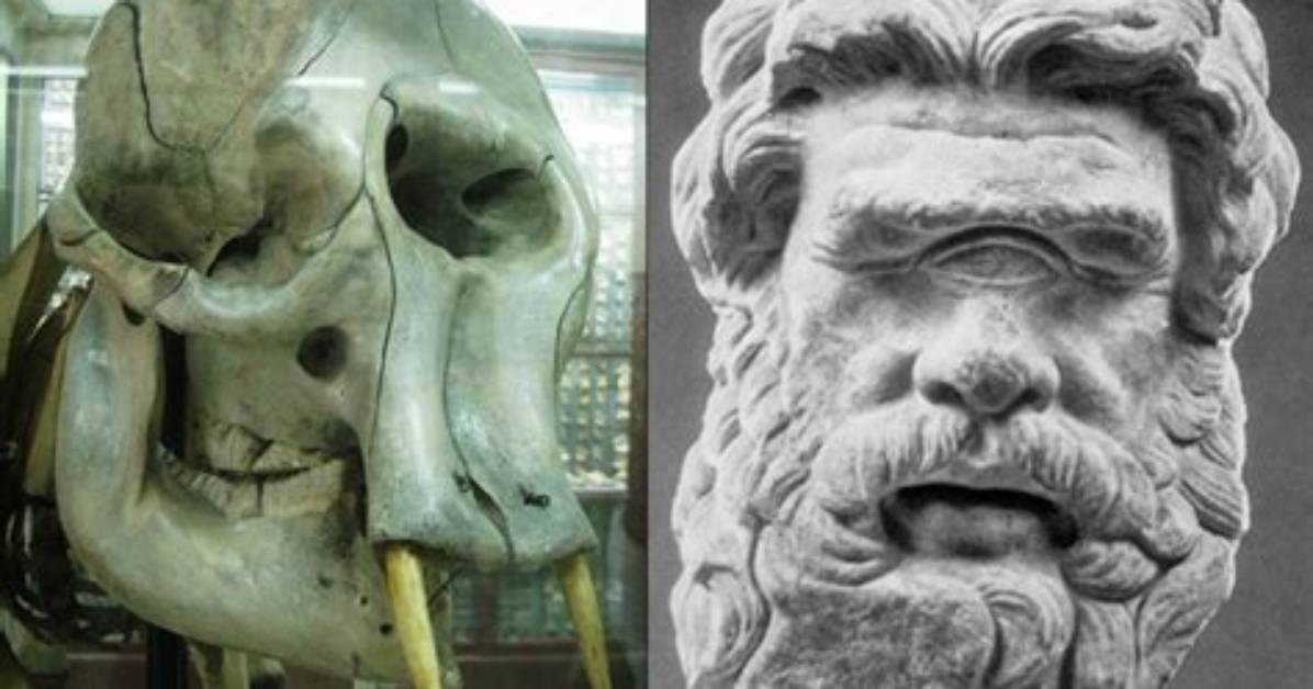 Pygmy Elephant Skulls Inspire Cyclops, What Do They Resemble and Reddit Discussions