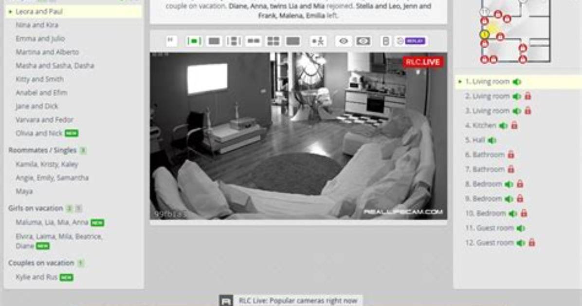 Reliable Reallifecam: 24/7 Uninterrupted Live Broadcasts