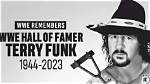 Remembering Terry Funk: a Legendary Wrestler's Legacy Ends