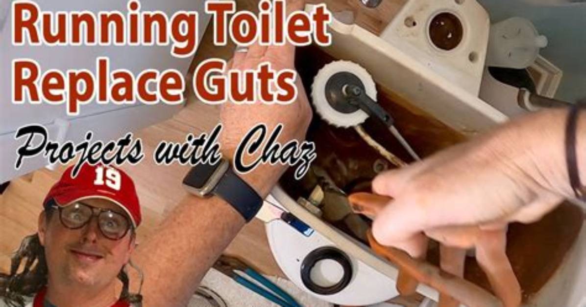 Replacing Toilet Guts for Ultimate Toilet Efficiency