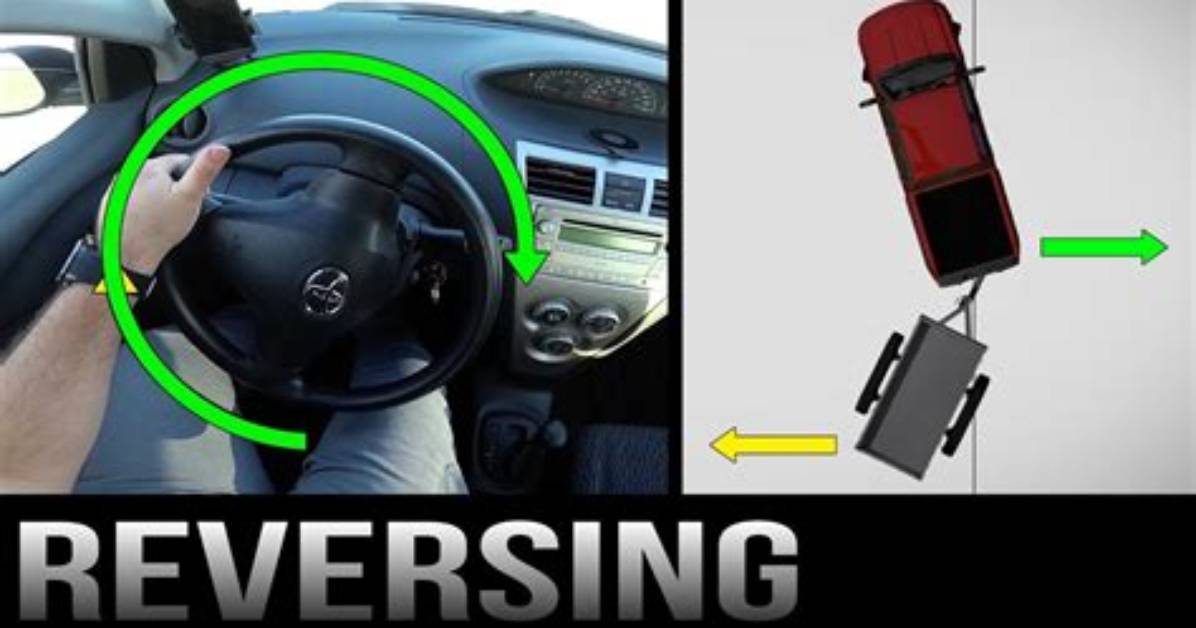 Reverse Your Gears: Put It in Reverse Terry