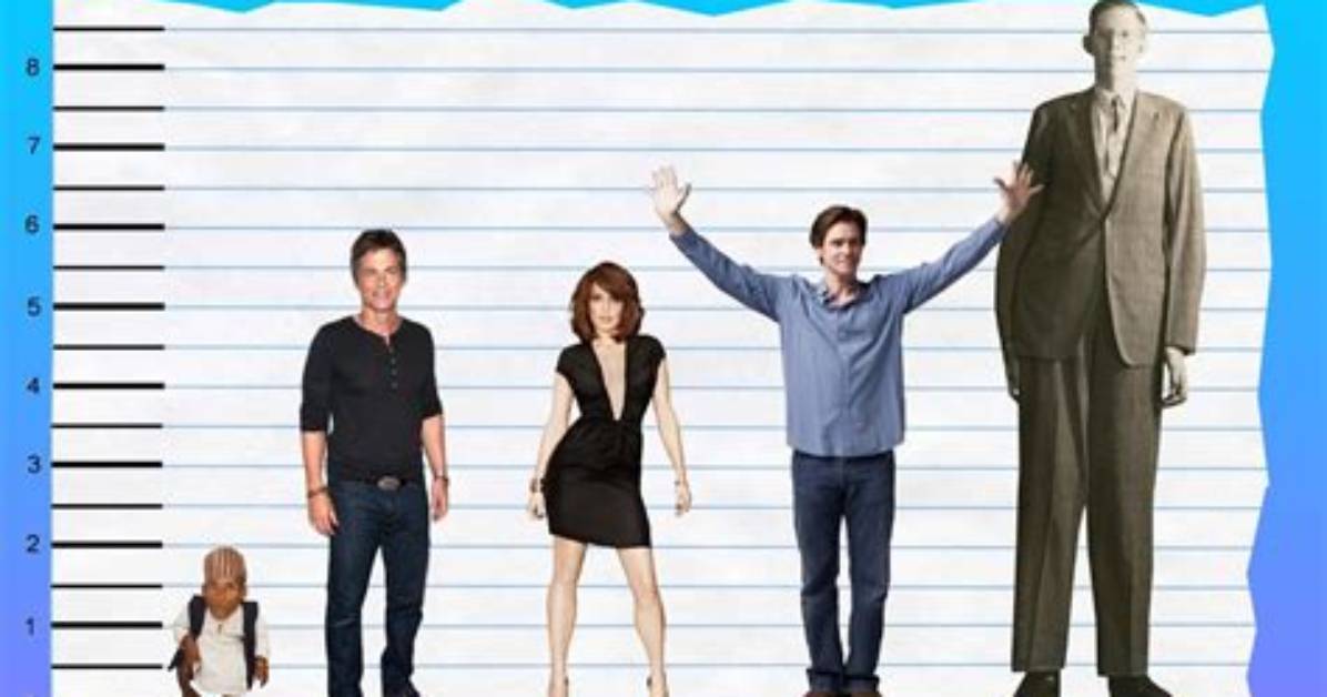 Rob Lowe - Height, Statistics and More