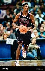 Scottie Pippen's Journey in 2004: the Transition Year