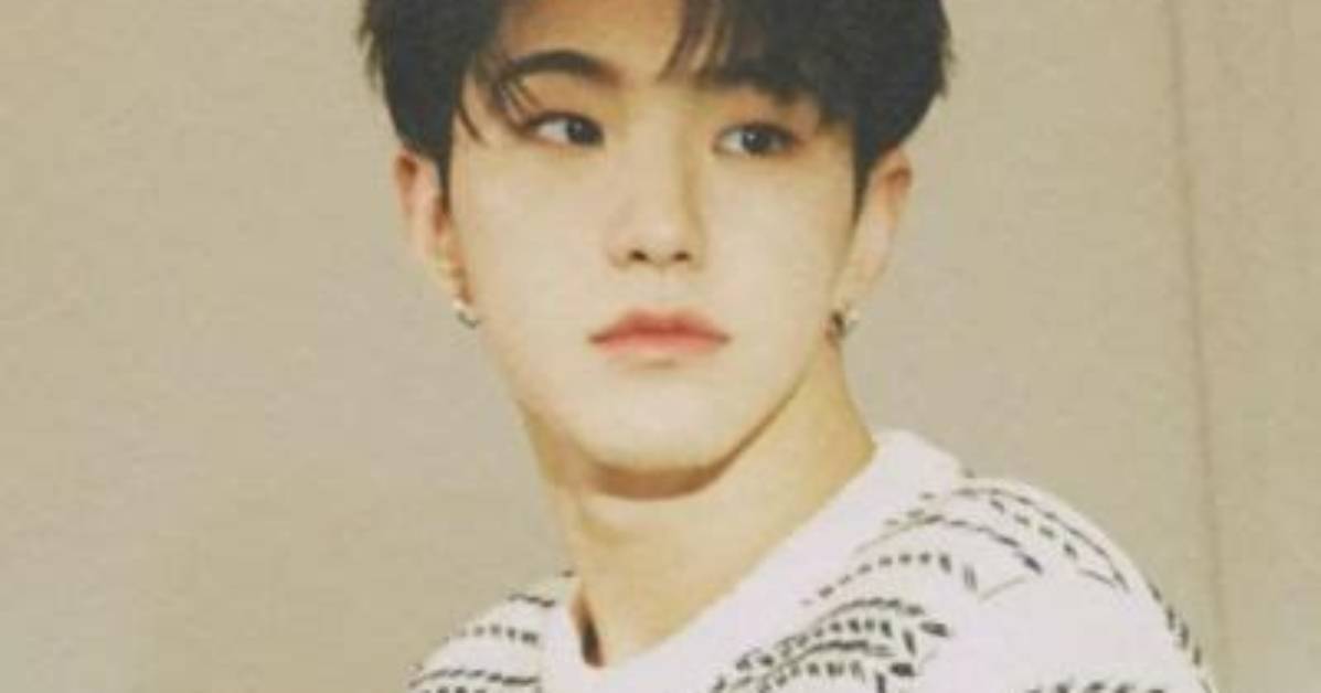 Seventeen’s Hoshi Astounded Everyone with His Innovative Approach to Fans