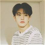 Seventeen’s Hoshi Astounded Everyone with His Innovative Approach to Fans