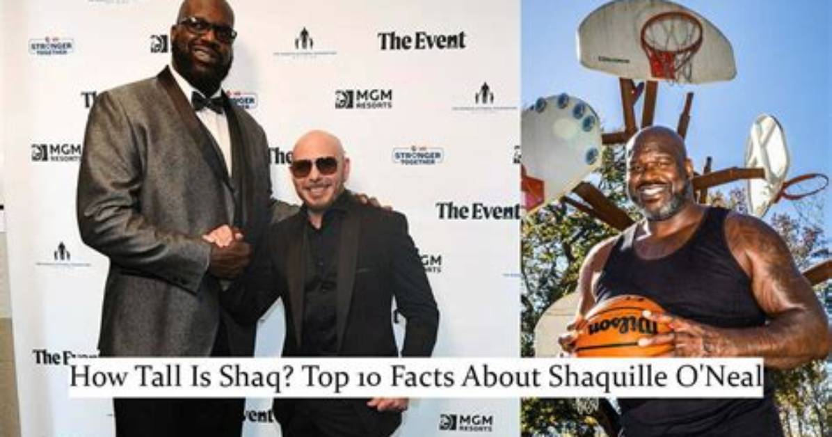 Shaquille O'neal's Incredible Height: a Basketball Giant