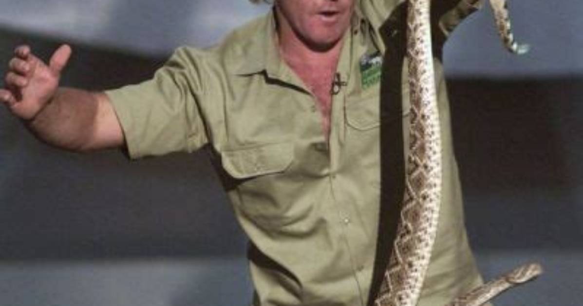 Steve Irwin Height, Weight, Net Worth, Age, Birthday, Wikipedia, Who, Nationality, Biography