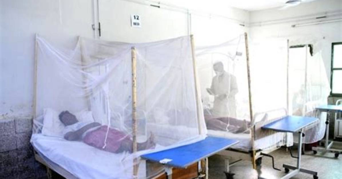 Surge in Dengue Fever Continues in Pakistan