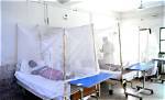Surge in Dengue Fever Continues in Pakistan