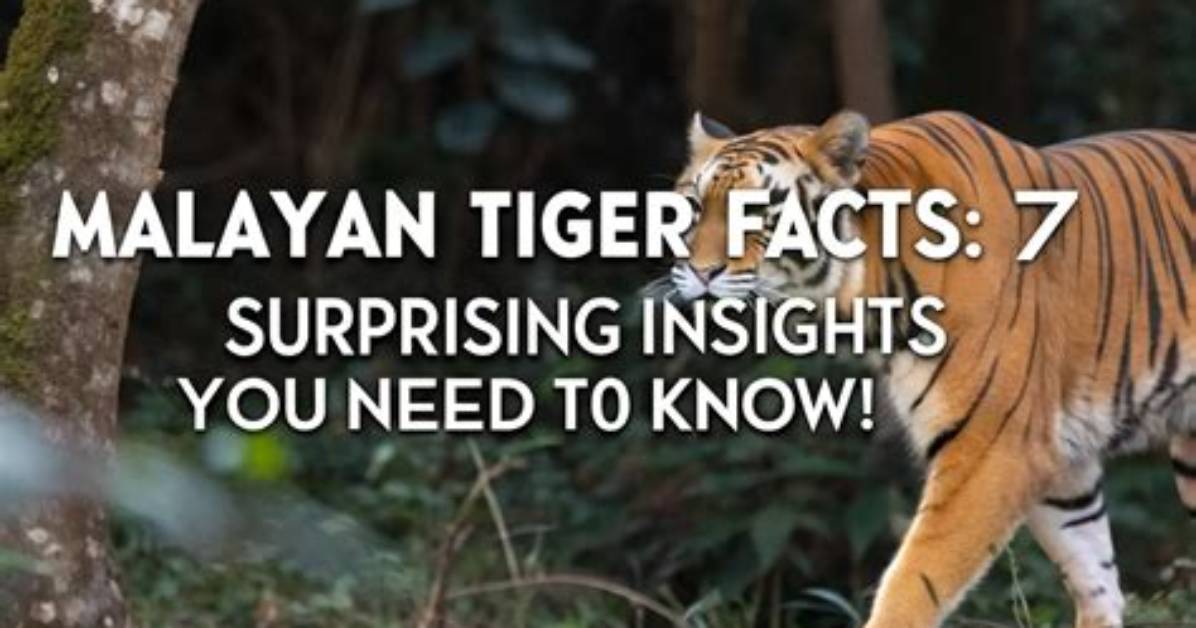 Surprising Facts and Astounding Insights