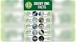 Surprising Facts and Style Secrets Revealed