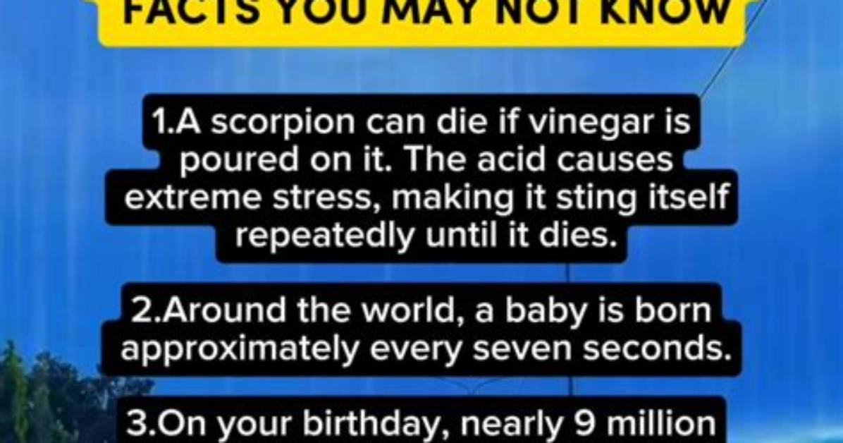 Surprising Facts and Uncommon Perspectives