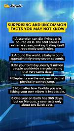Surprising Facts and Uncommon Perspectives