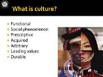 Surprising Revelations and Cultural Context