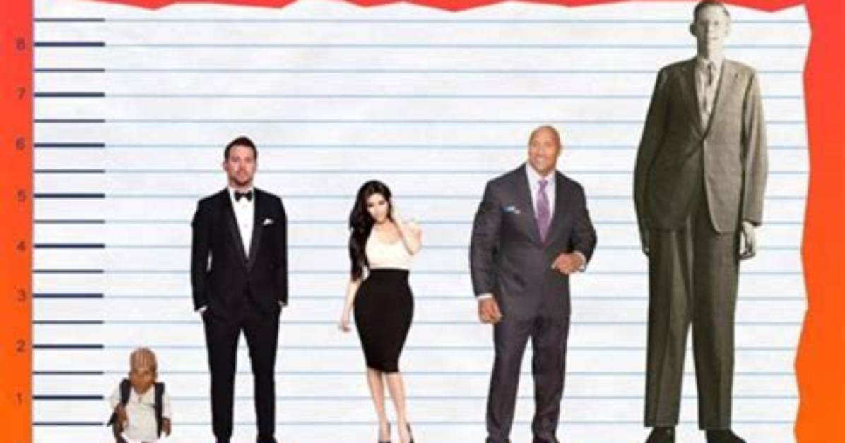 Surprising Revelations and Height Analysis