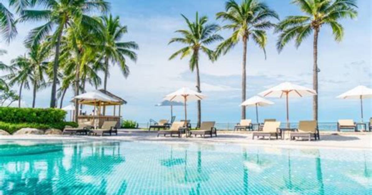 The All-Inclusive Guide to Cristina Csrmella: Everything You Need to Know