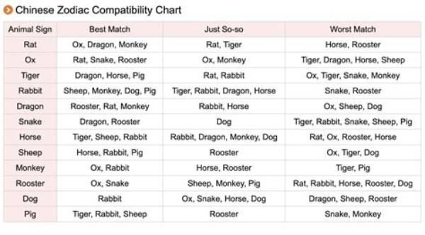 The Compatibility Guide: Snakes and Tigers in Love and Life
