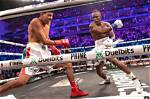 The Comprehensive Misfits Boxing Wiki: Your Guide to the Unconventional Fights