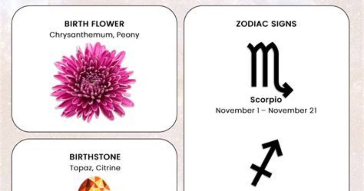 The Enigmatic Charm of the 20 November Star Sign