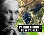 The Life and Legacy of Conservation Pioneer Ernest Rothrock