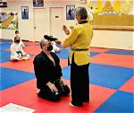 The Master of Martial Arts