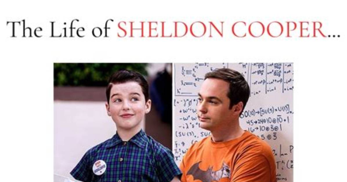 The Multifaceted Journey of the Sheldon Cooper Actor