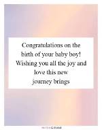 The New Baby: a Journey of Love and Joy