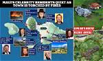 The Rise of Maui's Blue Houses: Unveiling the Celebrity Influence