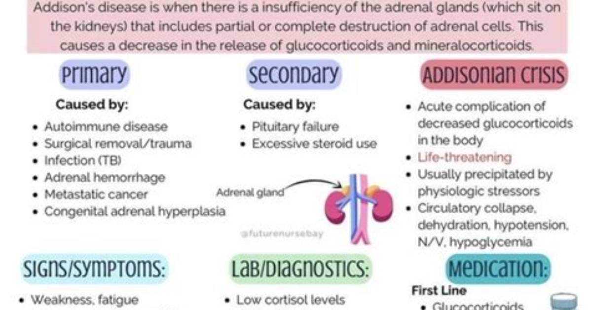 The Ultimate Guide to Adasha Disease: Symptoms, Diagnosis, and Treatment