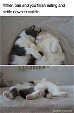 The Ultimate Guide to Cuddle Time Memes: Share the Love!
