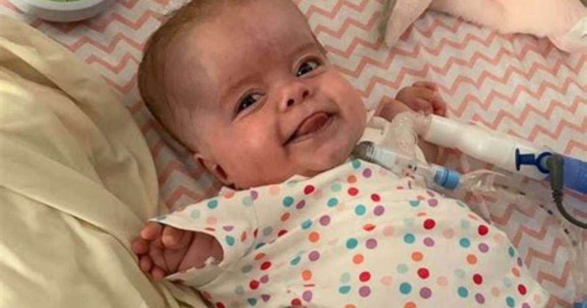 The Ultimate Guide to Dwarf Babies: Understanding Birth and Beyond