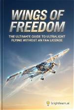 The Ultimate Guide to Flying with the "Plane Lady" | Expert Tips and Insights