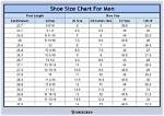 The Ultimate Guide to Her Shoe Size