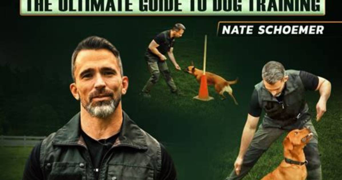 The Ultimate Guide to Nate Cabral from Rhonj